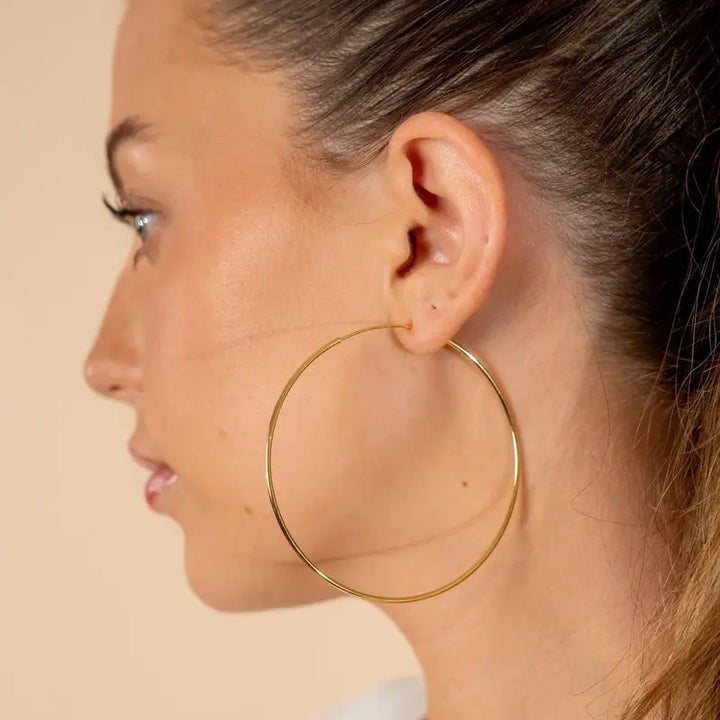 Sculpted Hoop Earrings